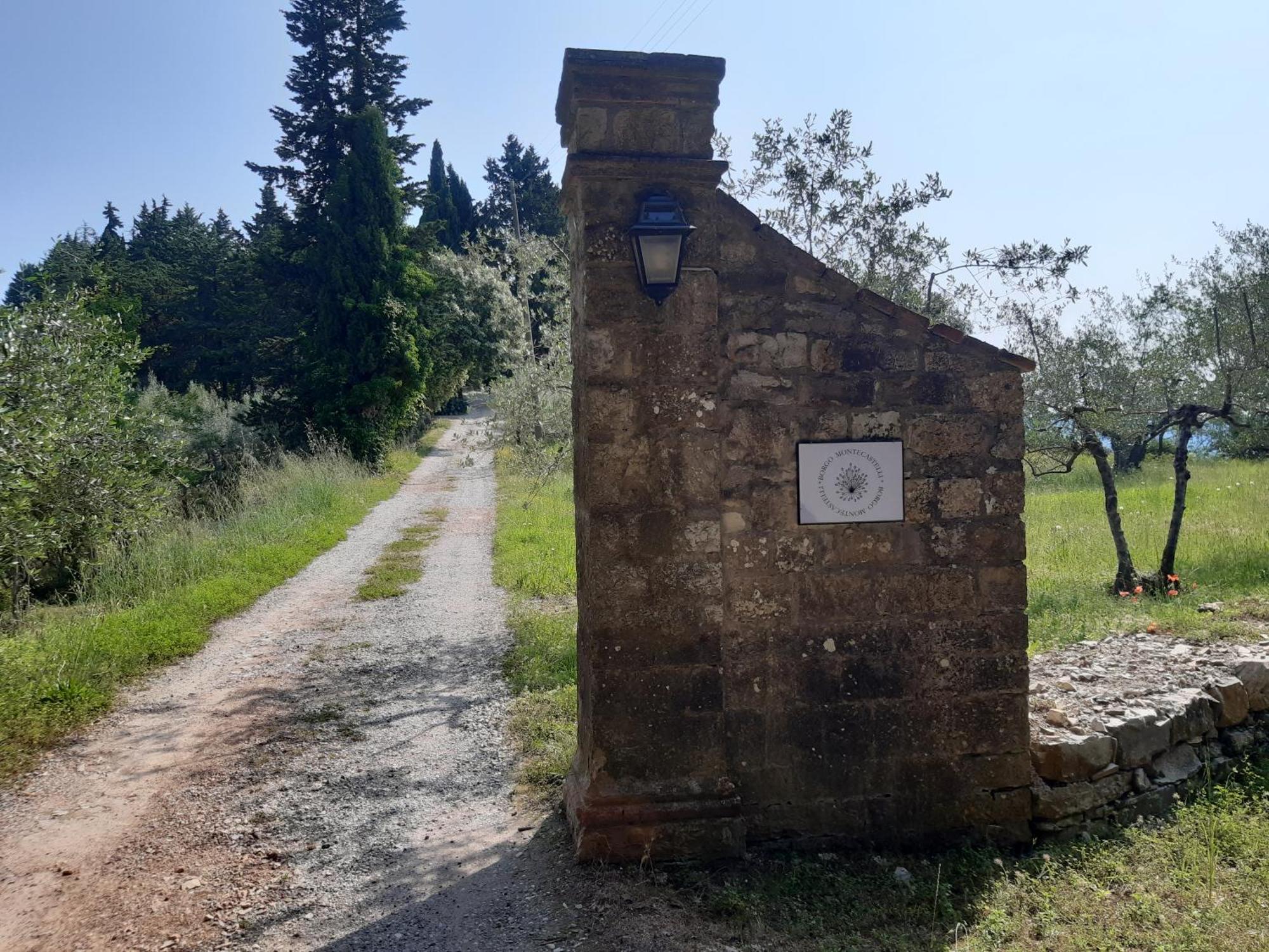 Casa Degli Ulivi - Cottage With Swimming Pool كاستيلّينا إنْ كْيانت المظهر الخارجي الصورة
